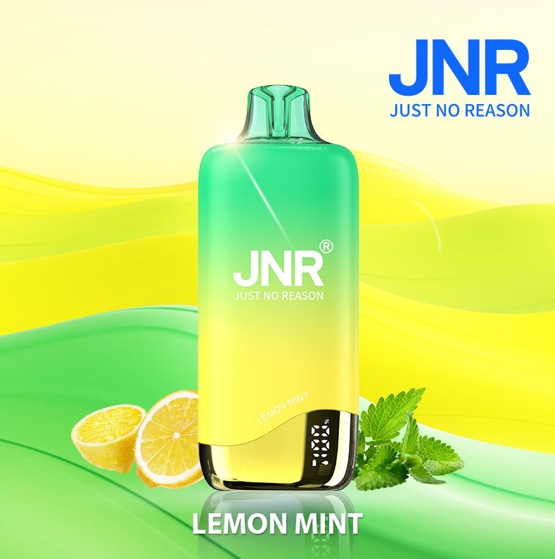 The Future of Vaping Down Under: Exploring the JNR RAINBOW 10k Puffs Disposable Vape - Lemon Mint
