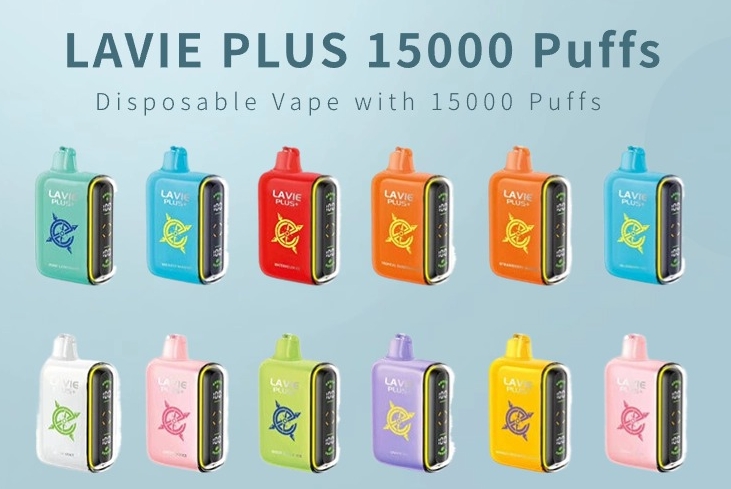 Beyond the Puff Count: Why LaVie PLUS 15000 Miami Mint is More Than Just Long-Lasting Magic